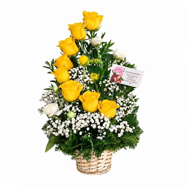 Sol De Primavera — Canasto de 9 Rosas Amarillad