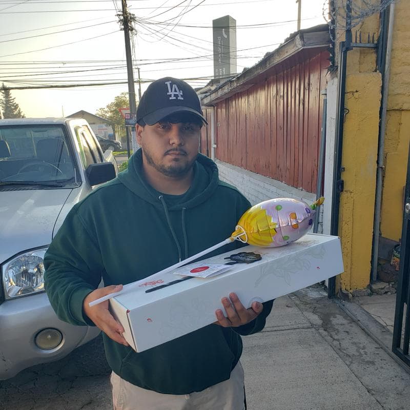 Pedido 12394