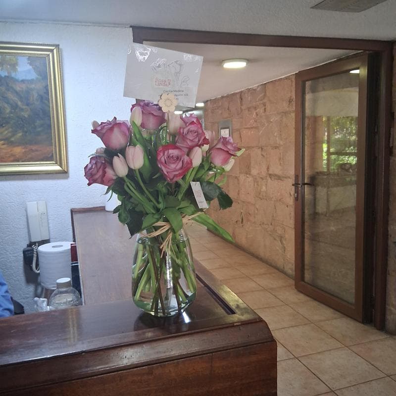 Pedido 24977