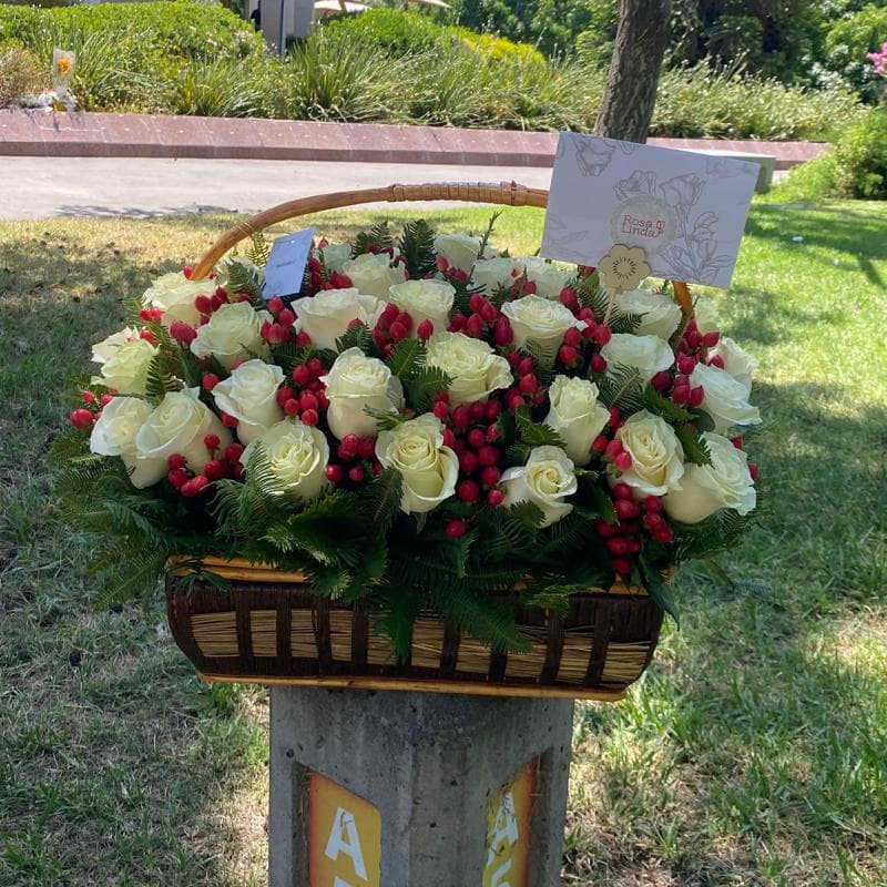 Pedido 29565
