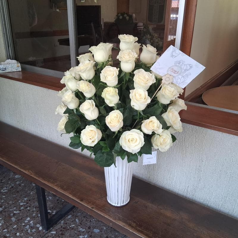 Pedido 31637