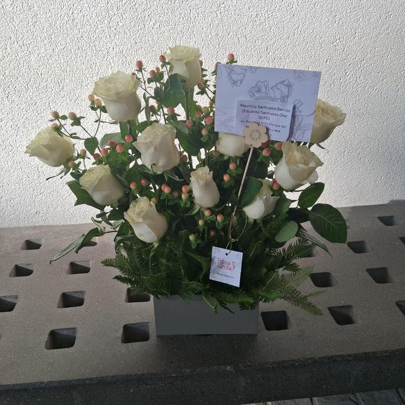 Pedido 42231