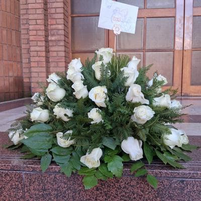 Consuelo Blanco - cubre urna 40 rosas ecuatorianas blanco