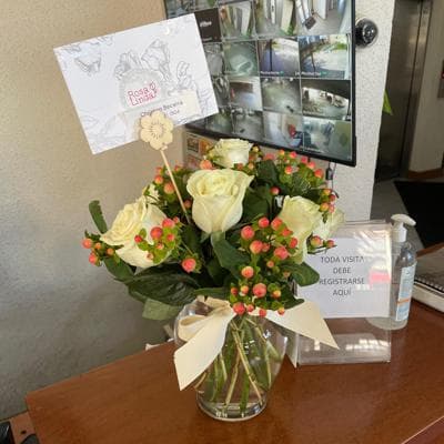 Antonia en Ánfora - florero con 9 rosas blanco e hypericum