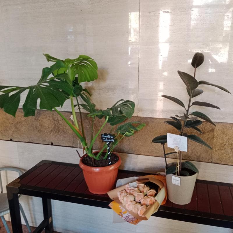Pedido 8408