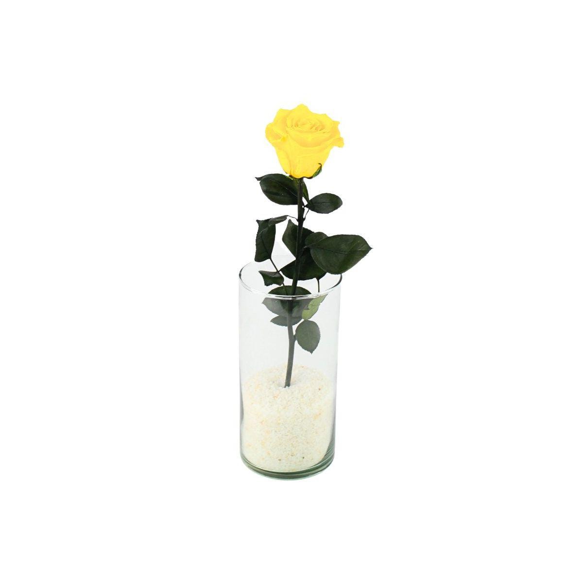 Florero Rosa Preservada - rosa preservada amarillo en florero cilindrico vidrio - Imagen 1