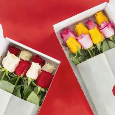 Rosas en Caja - Cantidad de flores y colores configurable