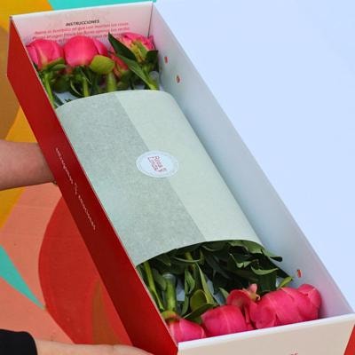 Peonias en FlowerBox - Imagen 6