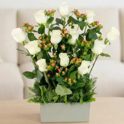 Jardín Rosas Blanco - Arreglo 12 rosas blanco e hypericum