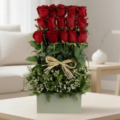 Rosas en serenata 15 - arreglo frontal 15 rosas rojo