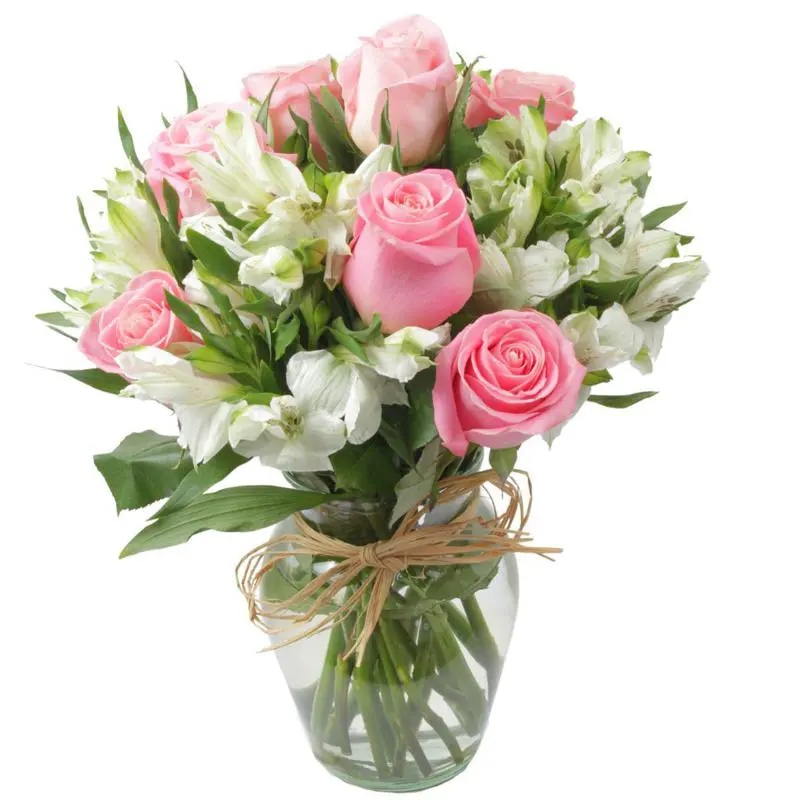 Agustina en Ánfora - Florero con 9 rosas rosado y astromelia