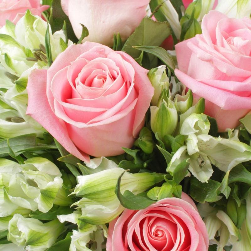 Amor Rosado en Anfora con 9 rosas - florero transparente con 9 rosas rosadas y astromelias - Imagen 4