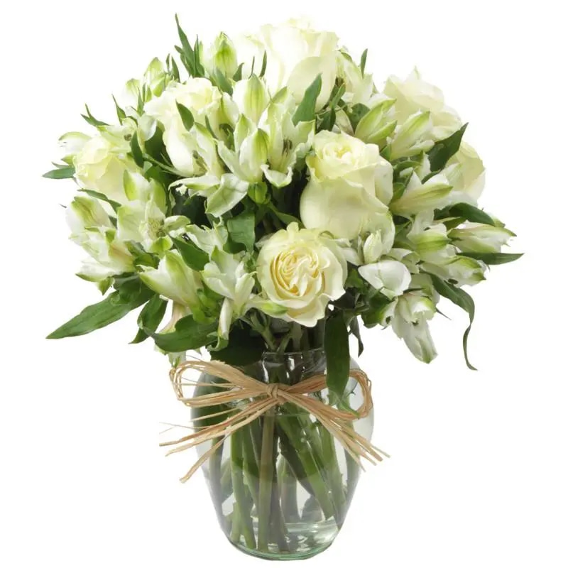 Agustina en Ánfora - Florero con 9 rosas blanco y astromelia