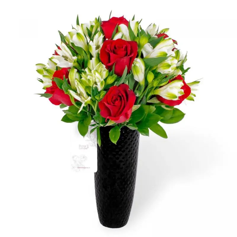 Agustina en Cerámica - Arreglo 10 rosas rojo y astromelias