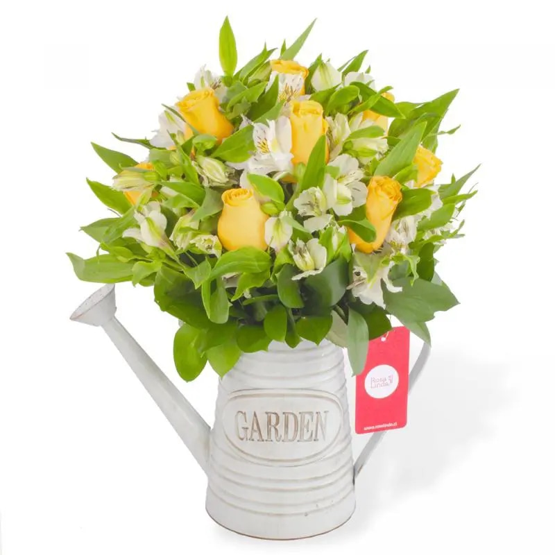 Agustina en Regadera -Arreglo 10 rosas amarillo y astromelia