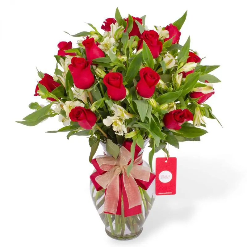 Agustina en Ánfora - Florero con 18 rosas rojo y astromelias