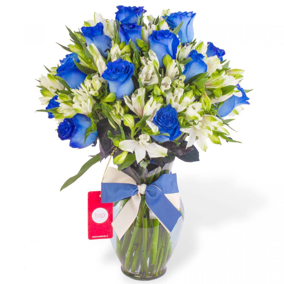 Agustina en Ánfora - Florero con 18 rosas azul y astromelias - Imagen 1