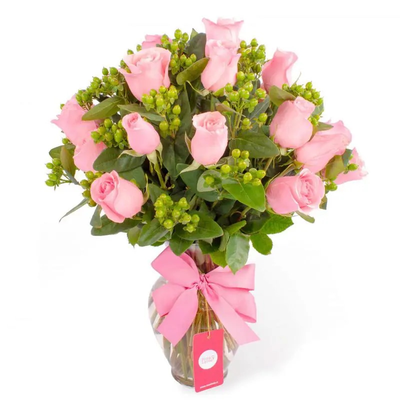 Antonia en Ánfora - florero con 18 rosas rosado e hypericum