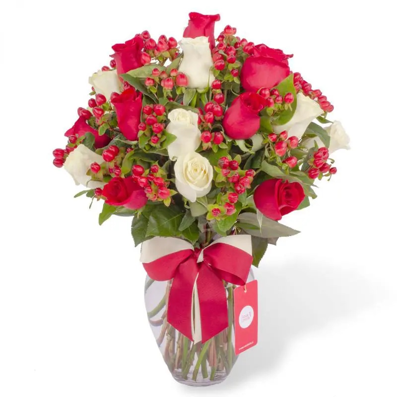 Antonia en Ánfora - Florero con 18 rosa blanco y rojo