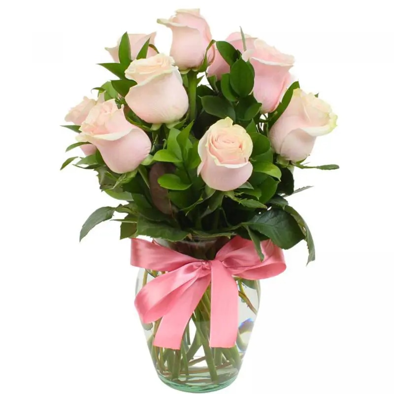 Amparo en Ánfora - Florero 12 rosas ecuatorianas rosado