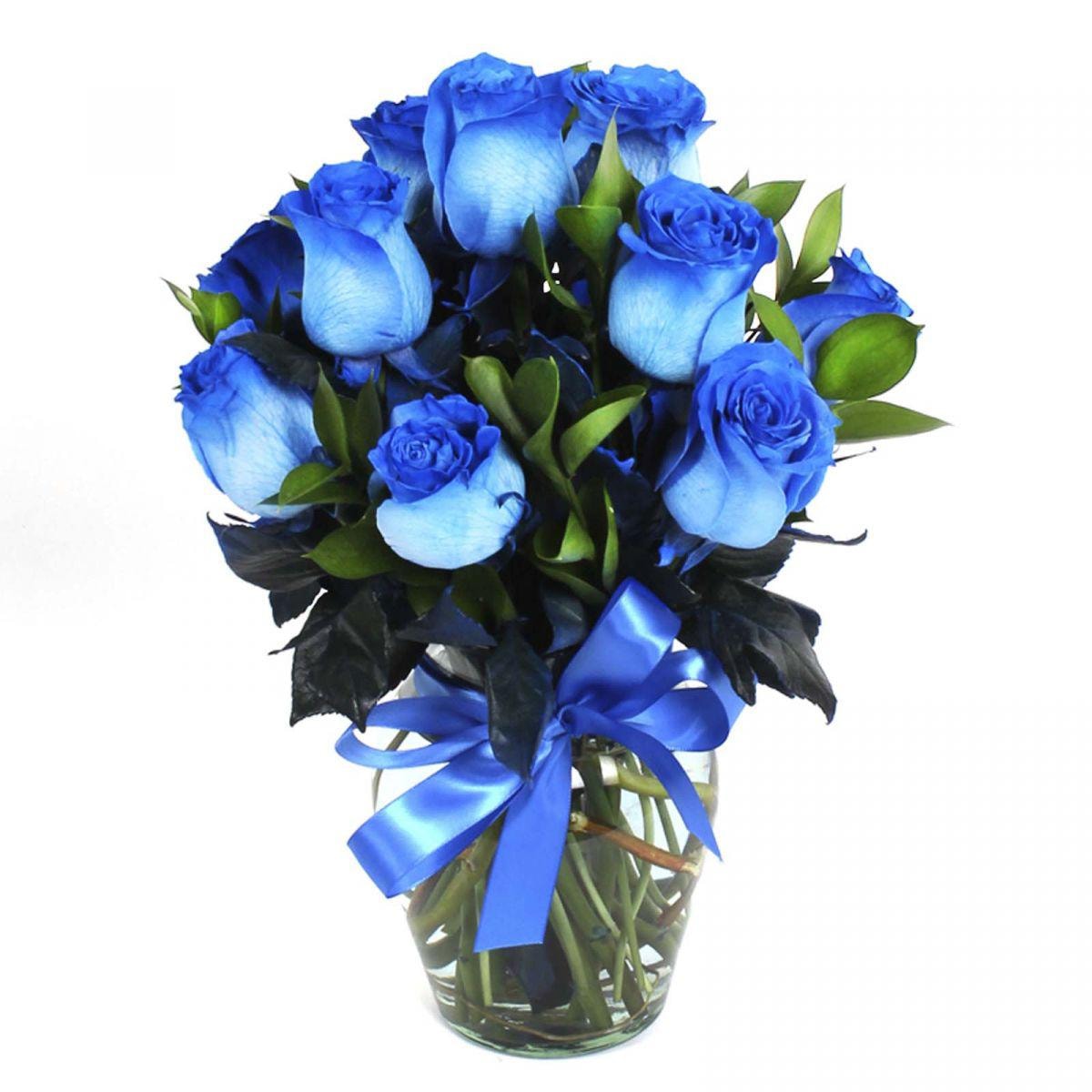 Amparo en Ánfora 12 rosas - Florero de vidrio tipo ánfora con 12 rosas color azul - Imagen 1