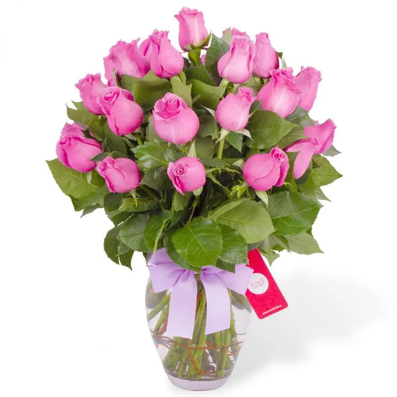 Amparo en Ánfora - Florero 24 rosas ecuatorianas lila