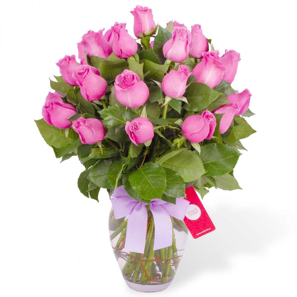 Amparo en Ánfora - Florero 24 rosas ecuatorianas lila - Imagen 1