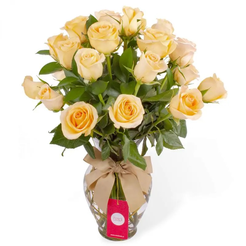 Amparo en Ánfora - Florero 24 rosas ecuatorianas damasco