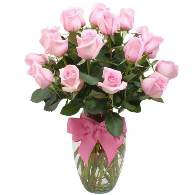 Amparo en Ánfora - Florero 24 rosas ecuatorianas rosado