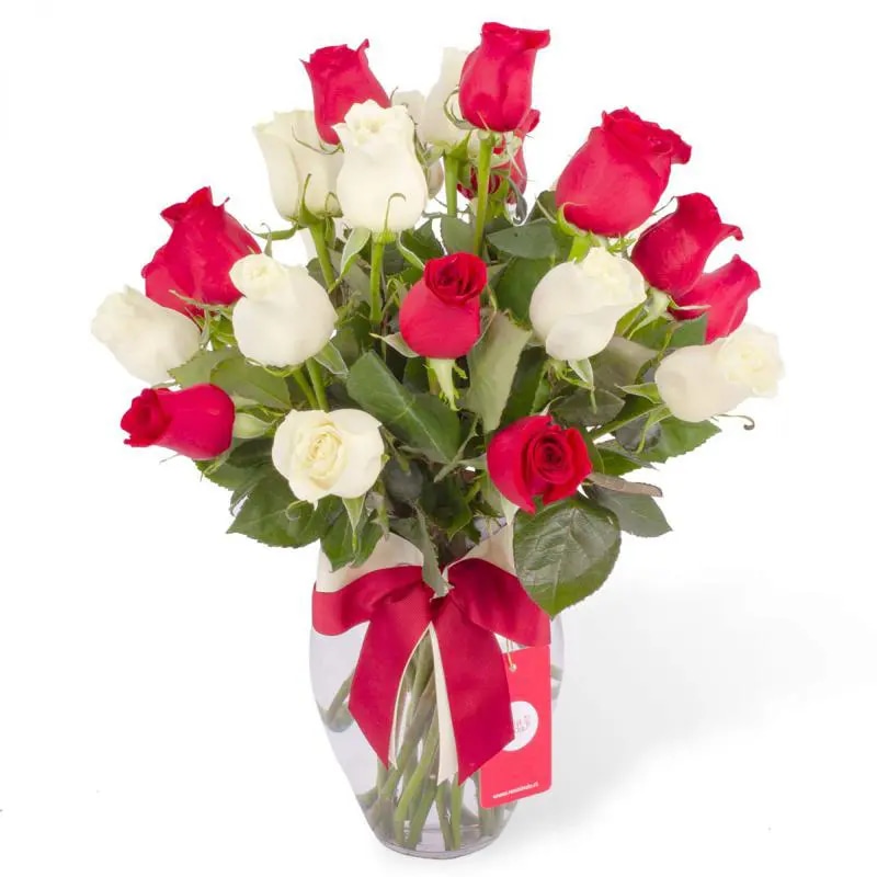 Amparo en Ánfora - Florero 24 rosas blanco y rojo