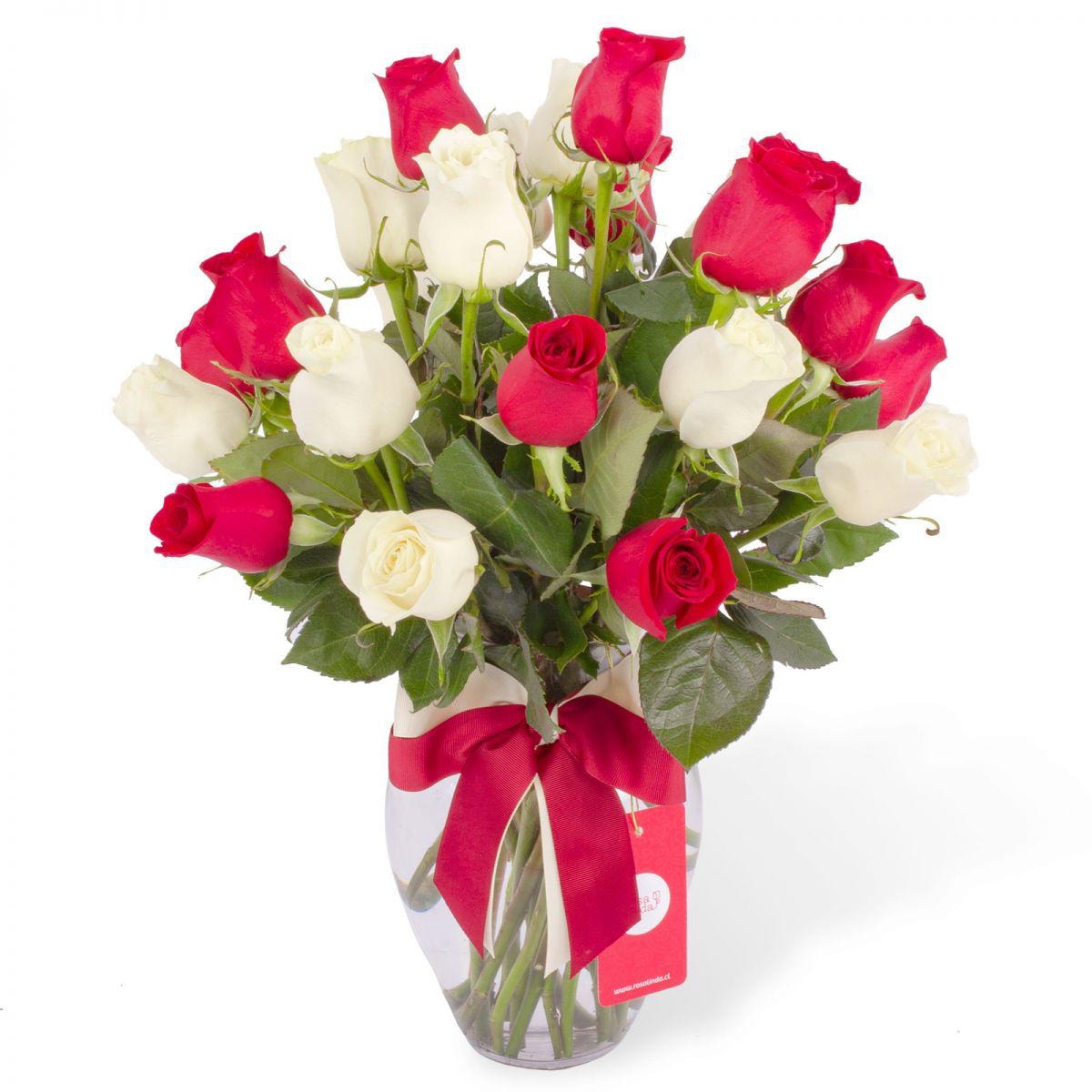 Amparo en Ánfora - Florero 24 rosas mix blanco y rojo - Imagen 1