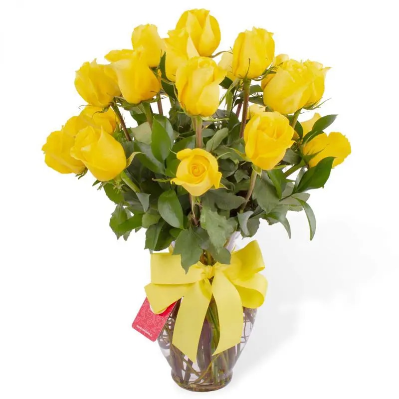 Amparo en Ánfora - Florero 24 rosas ecuatorianas amarillo