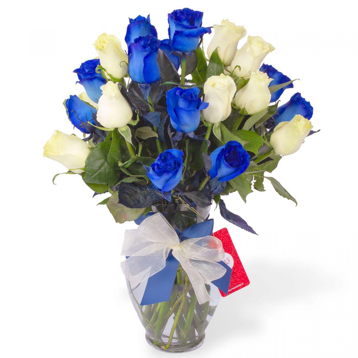 Amparo en Ánfora - Florero 24 rosas blanco y azul - Imagen 1