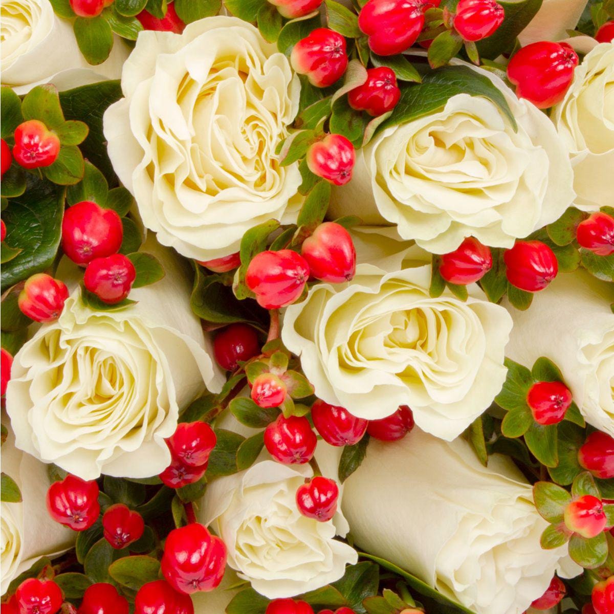 Ramo de rosas con Hypericum - Ramo circular con 18 rosas blancas e hypericum rojo - Imagen 5