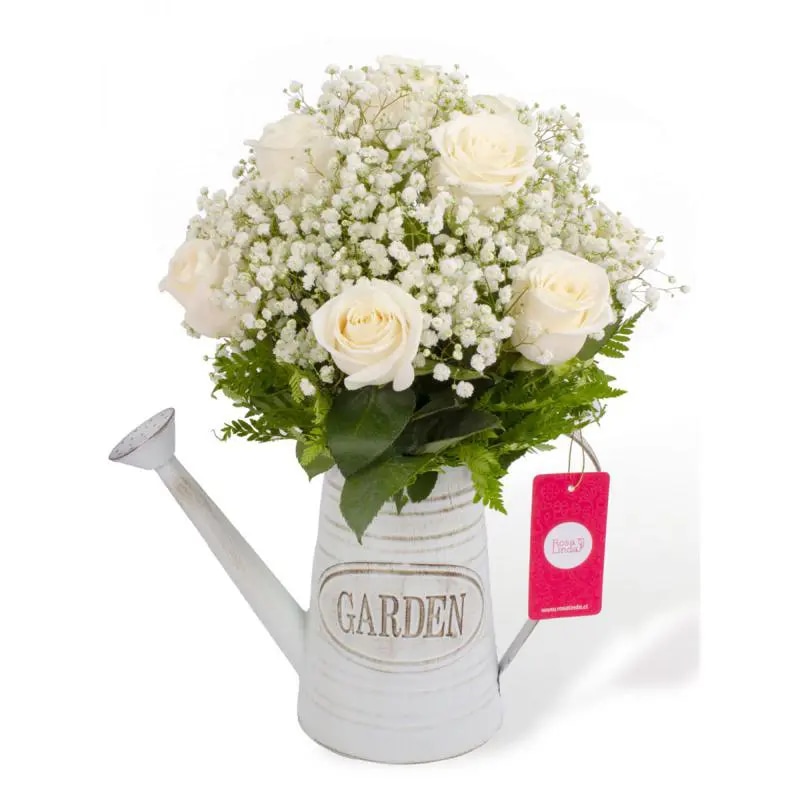 Julieta en Regadera - Arreglo 10 rosas blanco y gypo