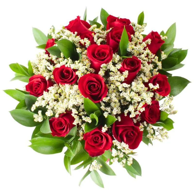 Julieta en Ramo- 15 rosas ecuatorianas rojo y limonium