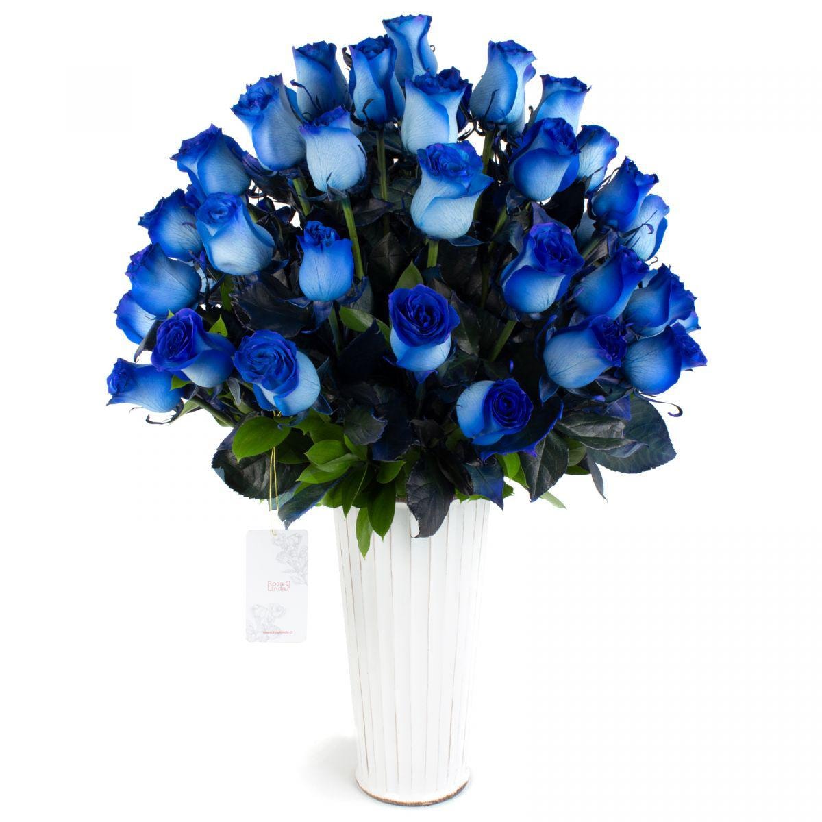 Carolina - Arreglo floral con 50 rosas azules - Imagen 1