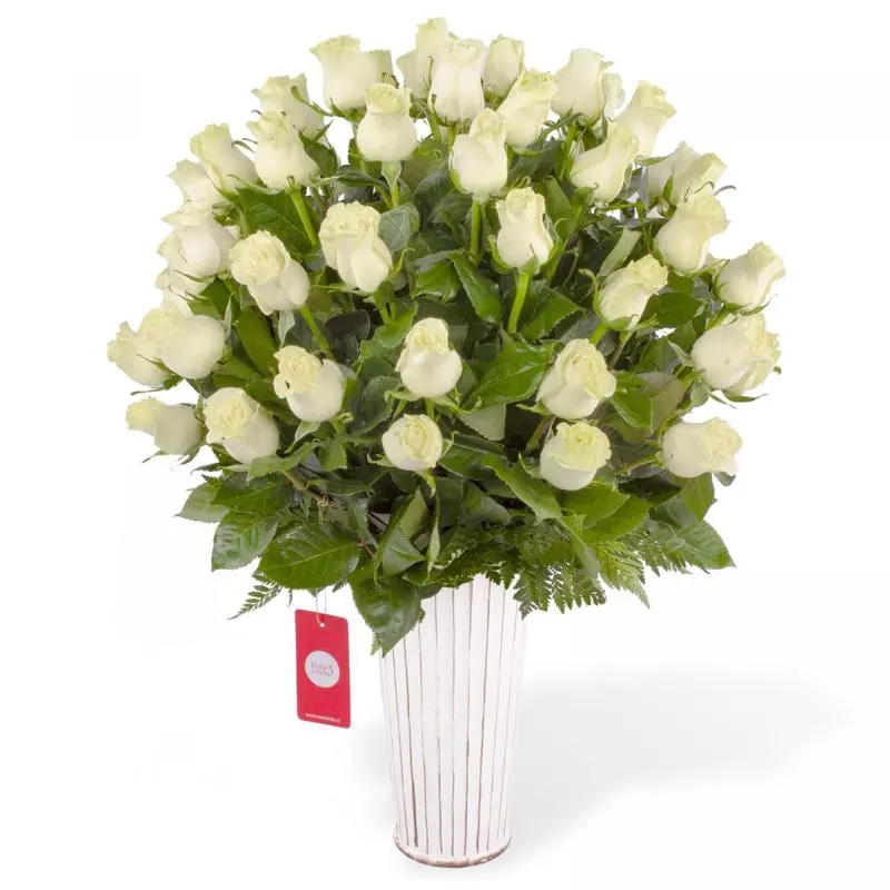 Carolina - Arreglo floral con 50 rosas blancas