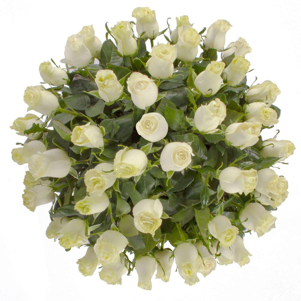 Carolina - Arreglo floral con 50 rosas blancas - Imagen 3