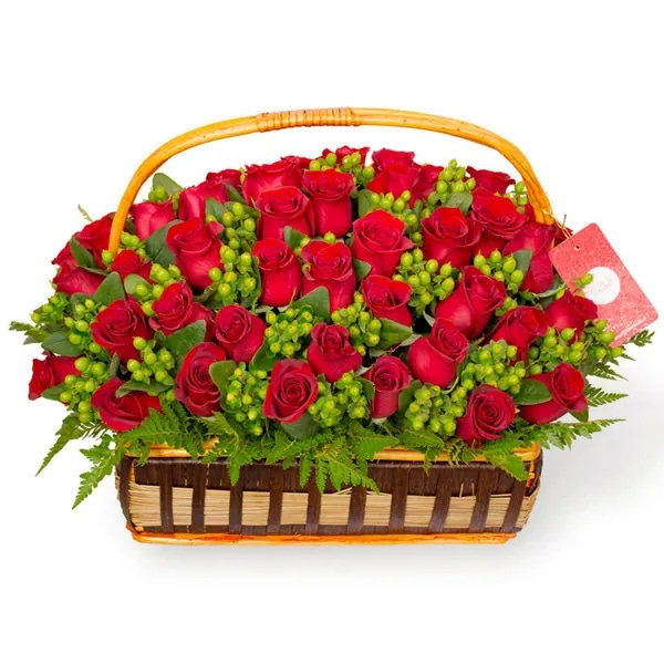 Antonia en canasto - 50 rosas ecuatoriana rojo e hypericum