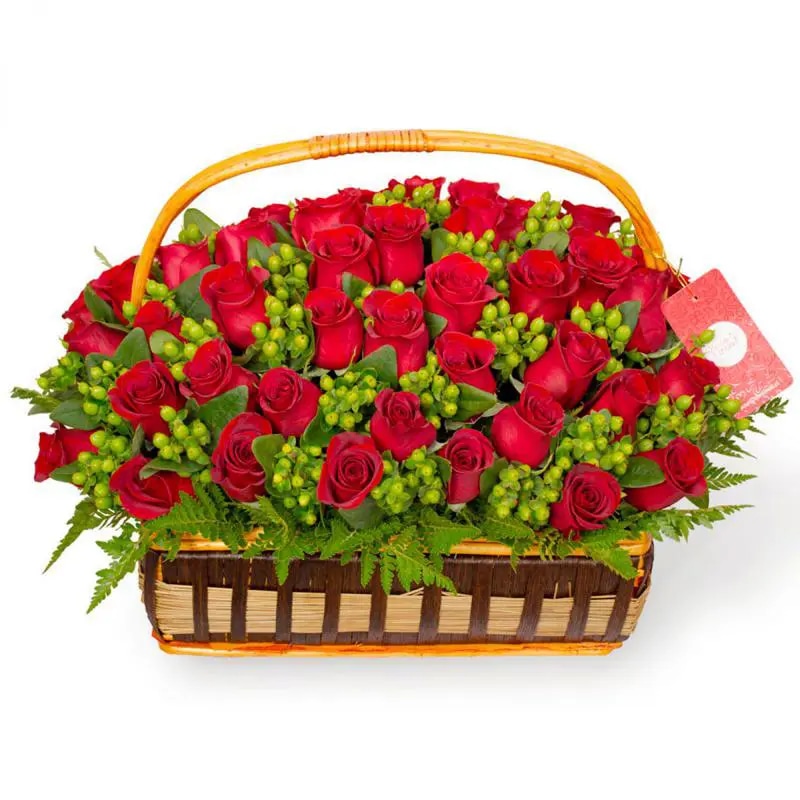 Antonia en canasto - 50 rosas ecuatoriana rojo e hypericum