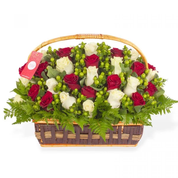 Antonia en canasto - 50 rosas rojo y blanco e hypericum