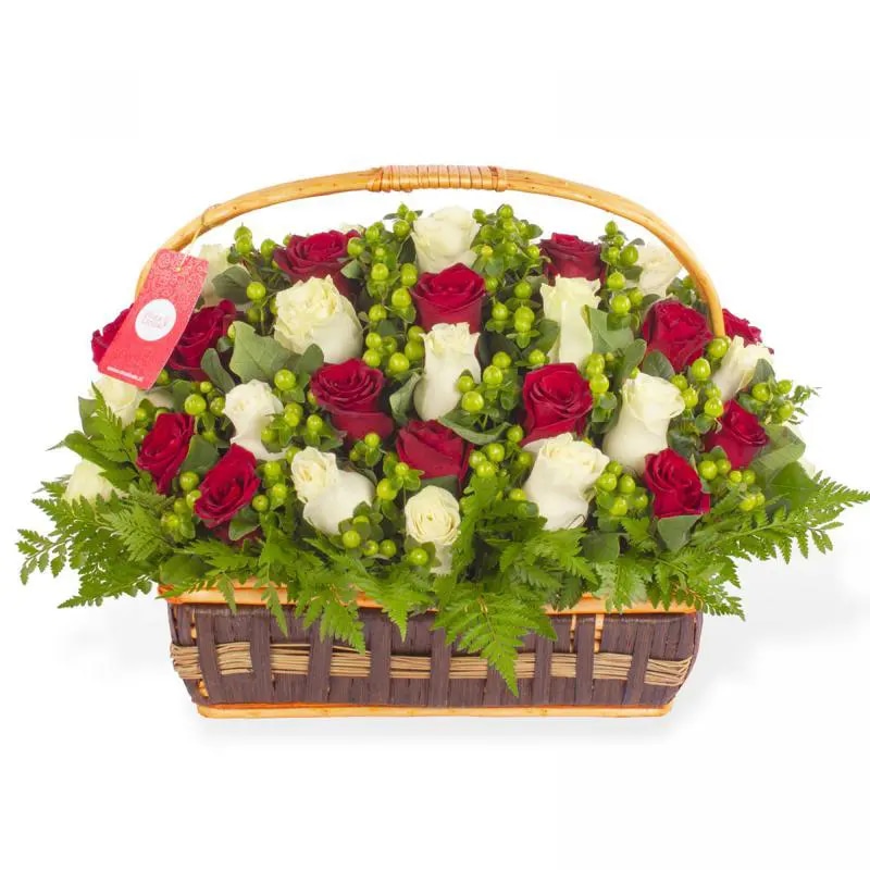 Antonia en canasto - 50 rosas rojo y blanco e hypericum