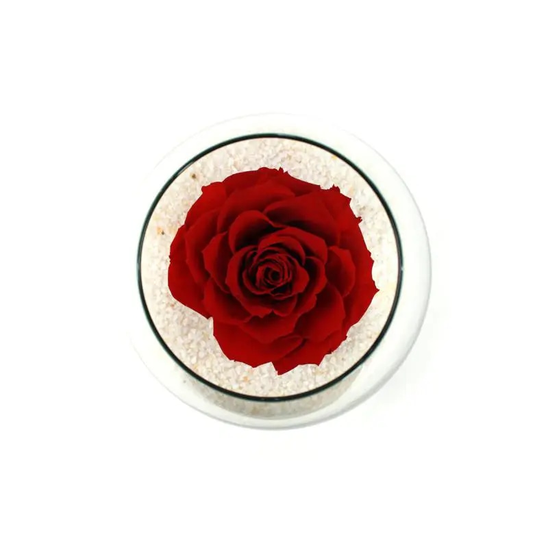 Rosa Roja Natural Preservada - rosa preservada en pecera vidrio con piedrecitas