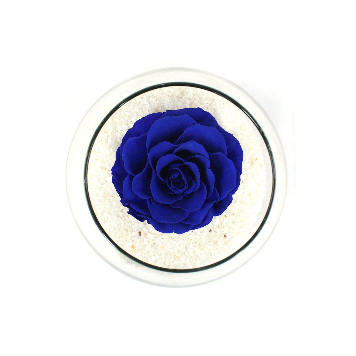 Rosa Azul Natural Preservada - rosa preservada en pecera vidrio con piedrecitas - Imagen 1