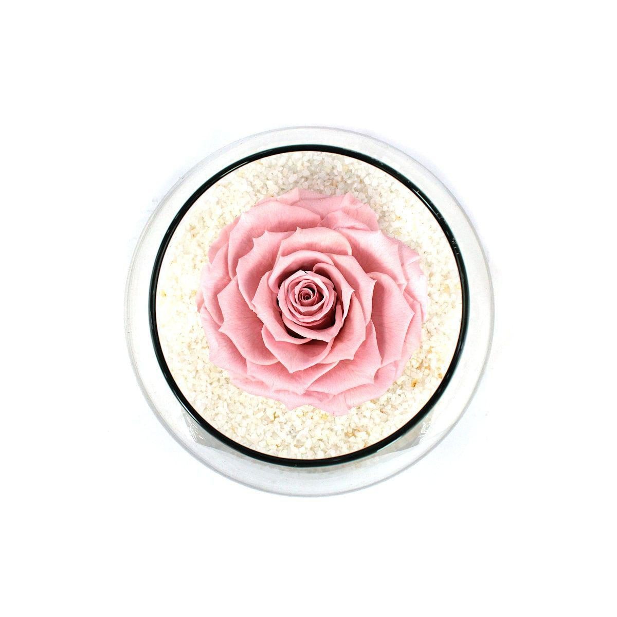 Rosa Rosado Natural Preservada - rosa preservada en pecera vidrio con piedrecitas - Imagen 1