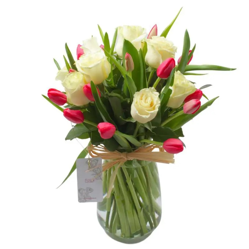 Elena Blanco Fucsia - Florero con rosas blanco y tulipanes fucsia