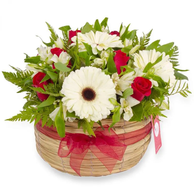 Luz Rosas Rojas - Arreglo floral en canasto circular con gerberas blancas, rosas rojas y astromelias blancas