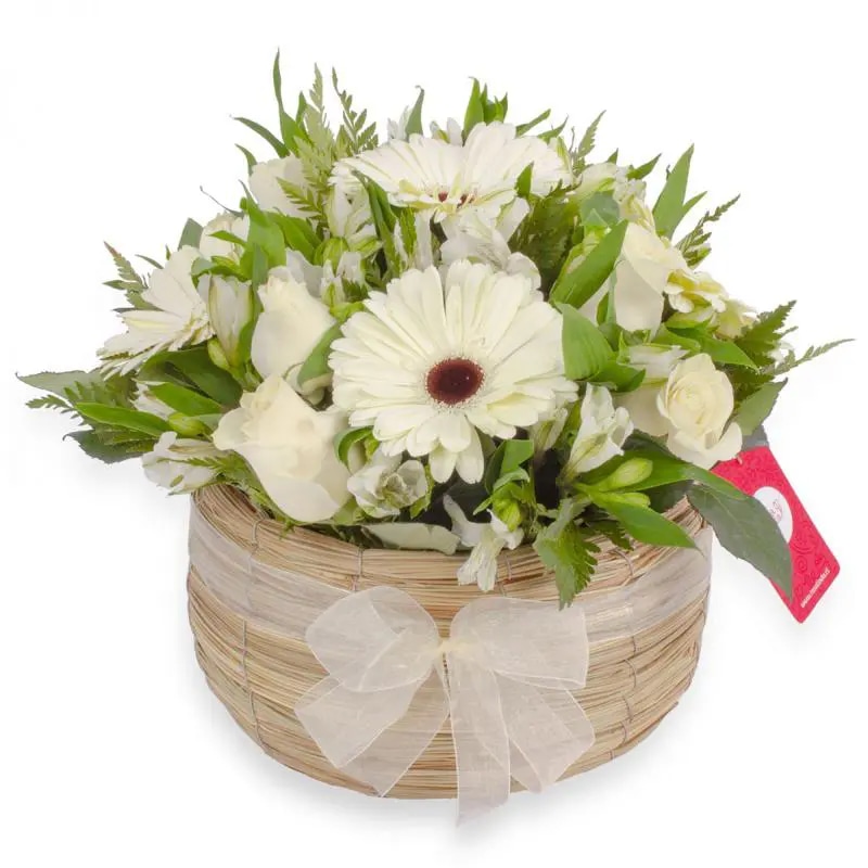 Luz Rosas Blancas - Arreglo floral en canasto circular con gerberas blancas, rosas blancas y astromelias blancas
