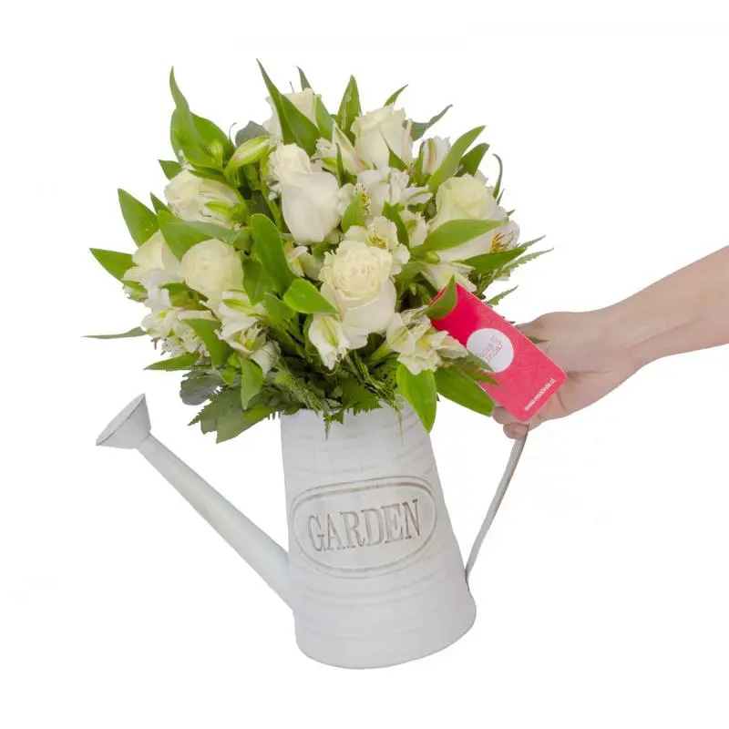 Amor Blanco en Regadera